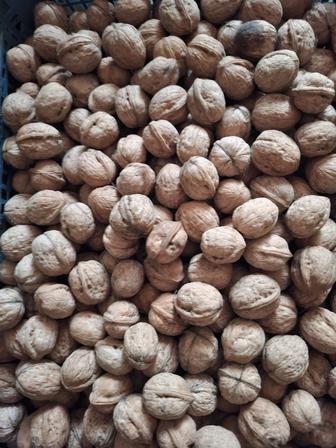 Орехи грецкие,дачные