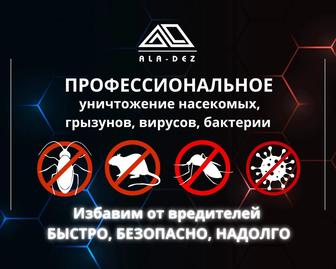 Дезинфекция! Профессиональное уничтожение тараканов, клопов, крыс, мышей.