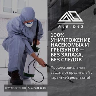 Дезинфекция! Профессиональное уничтожение тараканов, клопов, крыс, мышей.