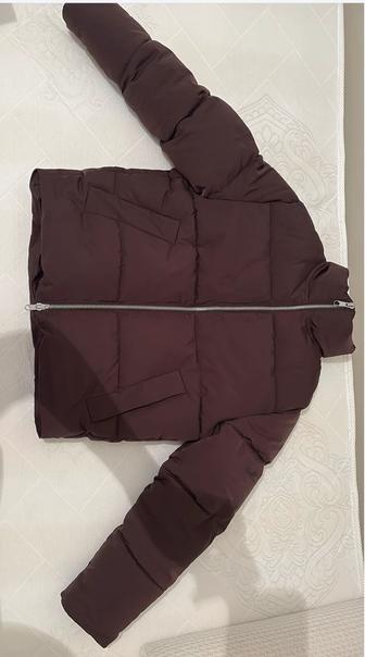 Пуховик Мужской