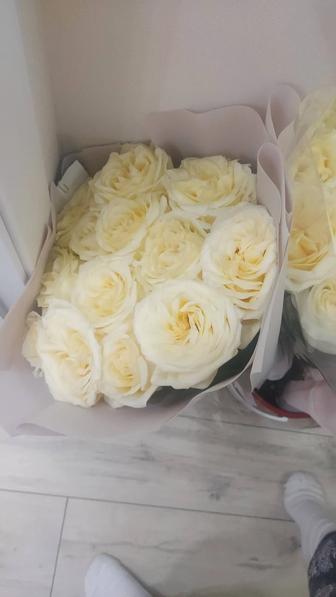 Розы цветы метровые пышные