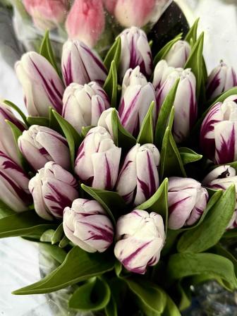 продаем цветы ! тюльпаны разных цветов белые, желтые , оранжевые , розовые