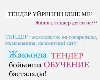 Обучение по тендеру