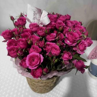 Продам цветы