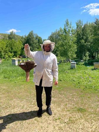 Продам натуральный мед с Восточного Казахстана