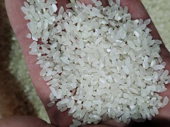 Күріш,Рис Лидер