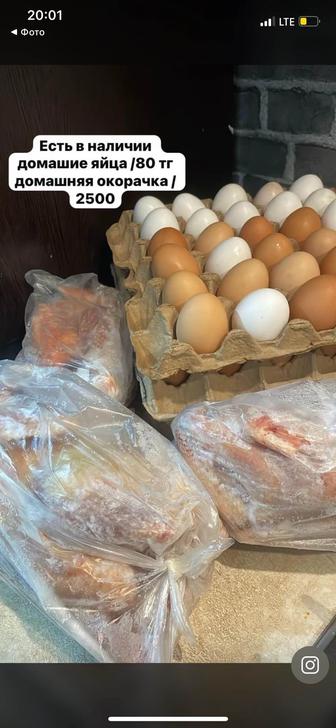 яйца и куры