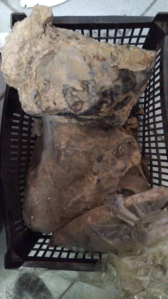 Камни поделочные Моховый агат