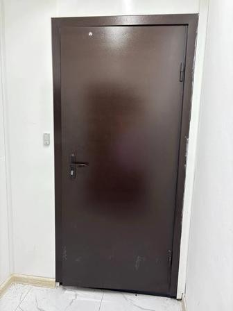 железные двери