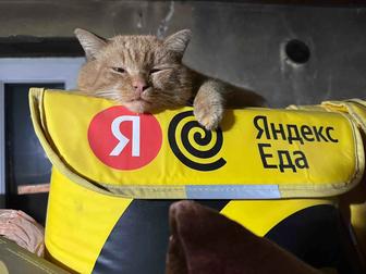 Продам термо сумку Яндекс