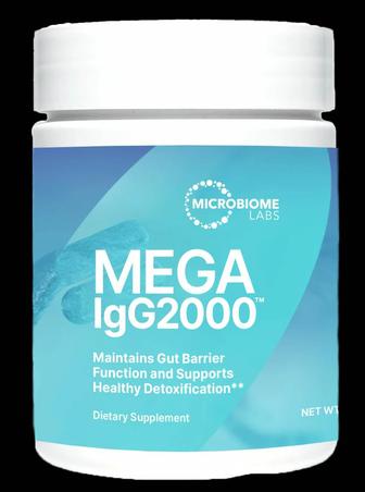 Mega IG 2000 Powder 60 gr