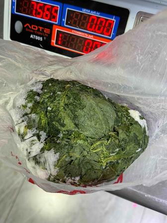 Шпинат замороженный