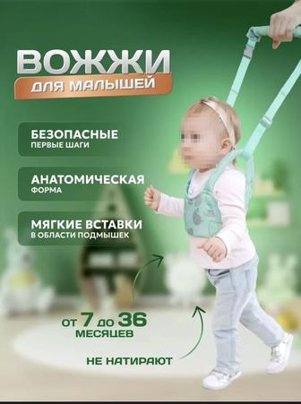 Продаются Вожжи