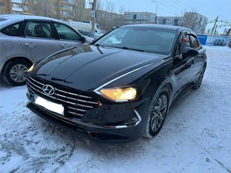 Трезвый водитель