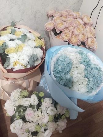 продам цветы