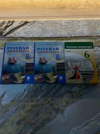 Продаются книги по русской литературе за 6 и 8 классы