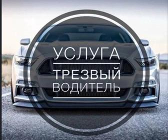 Трезвый водитель