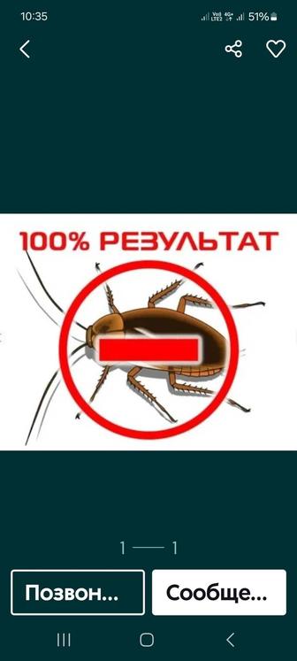 Дезинфекция