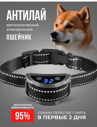 Ошейник антилай