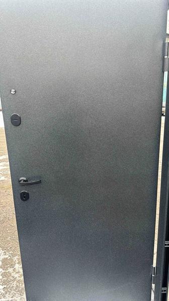 Металлическая дверь
