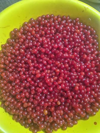 Калина замороженную