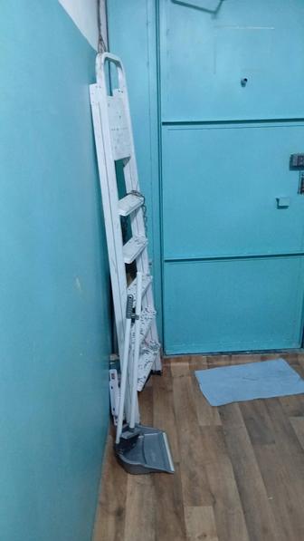 Сдам аренду стремянки