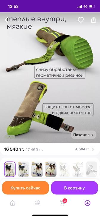 Зимние ботинки для собак