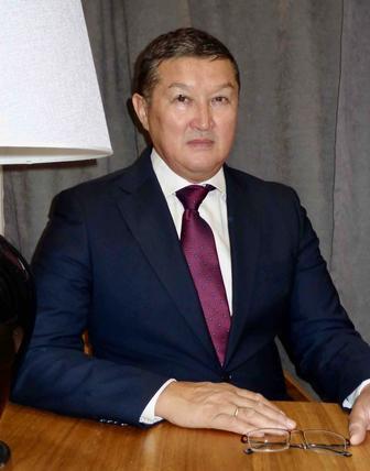 ПРОФЕССИОНАЛЬНЫЙ АДВОКАТ уголовное, гражданское право