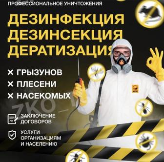 Дезинфекция дезинсекция дератизация