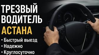 Трезвый водитель