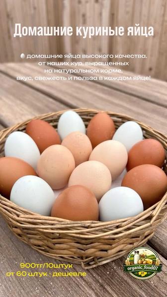 Домашние куриные яйца
