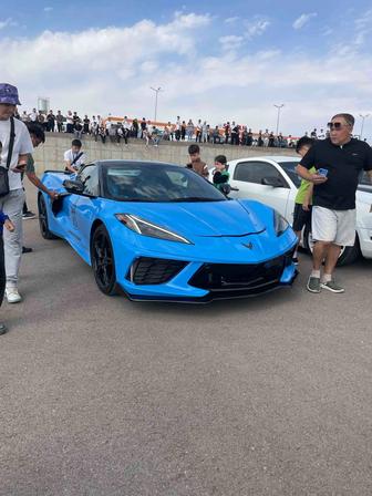 трезвый водитель