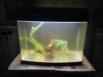 Аквариум JEBO 110л.