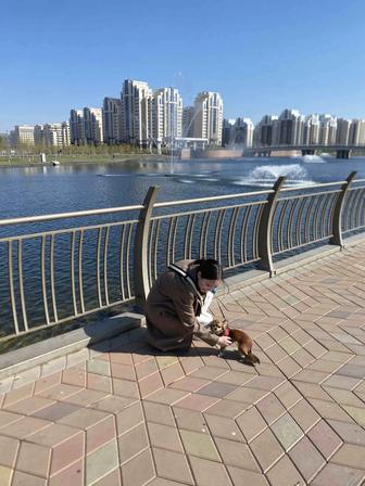 Платная передержка ваших питомцев