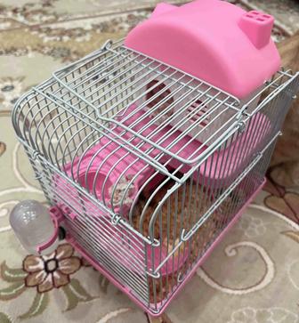 Хомяки джунгарские