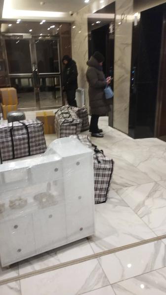 Грузчики 24/7