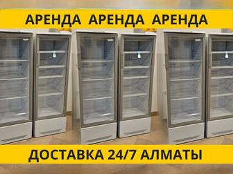 Аренда холодильника витрины, холодильник для напитков в аренду