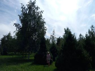 Услуги сиделки