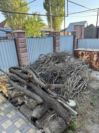 Дрова бесплатно