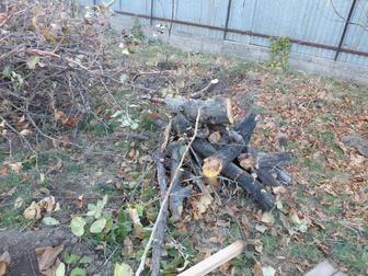 Отдам даром ветки и дрова от фруктовых деревьев