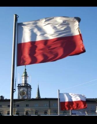 Польский язык