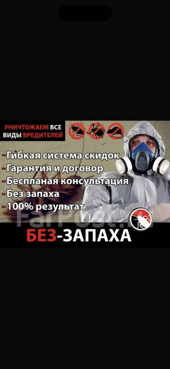 Дезинфекция от клопов, тараканов, блох. Гарантия!
Договор! Результат 100%