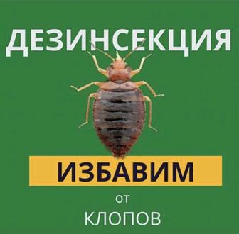 Дезинфекция! Уничтожение тараканов, клопов, блох и пр с гарантией