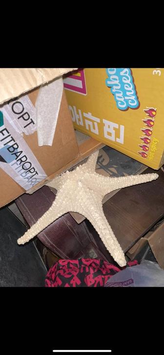 Продает фигуры звезды