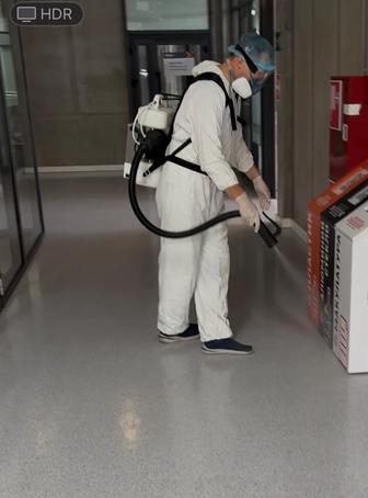 Уничтожение крыс, мышей, тараканов