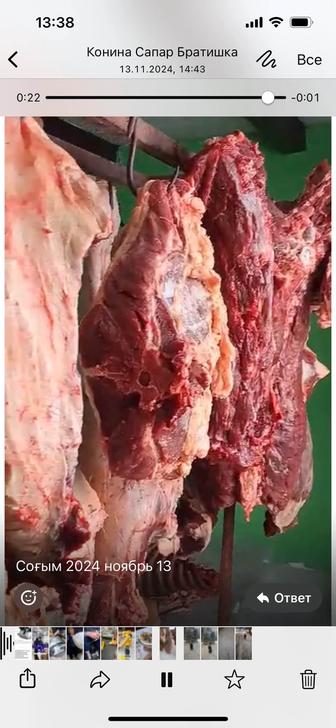 Мясо Конина, Тайлар, без ГМО