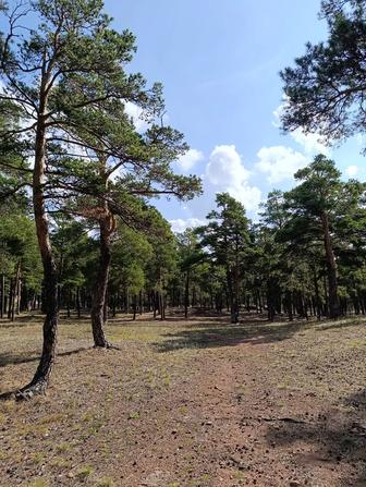 Услуги сопровождения на веб портале государственных закупок
