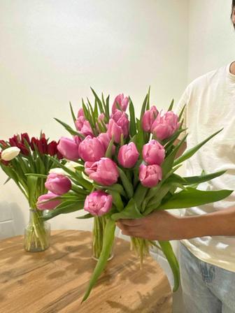 Тюльпаны крупные