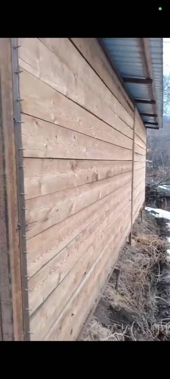 Вольер для собак