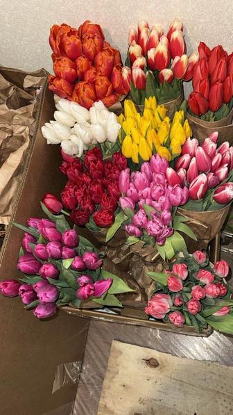Тюльпаны.Букет.Цветы.
